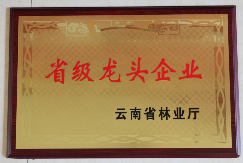 省级龙头企业证书